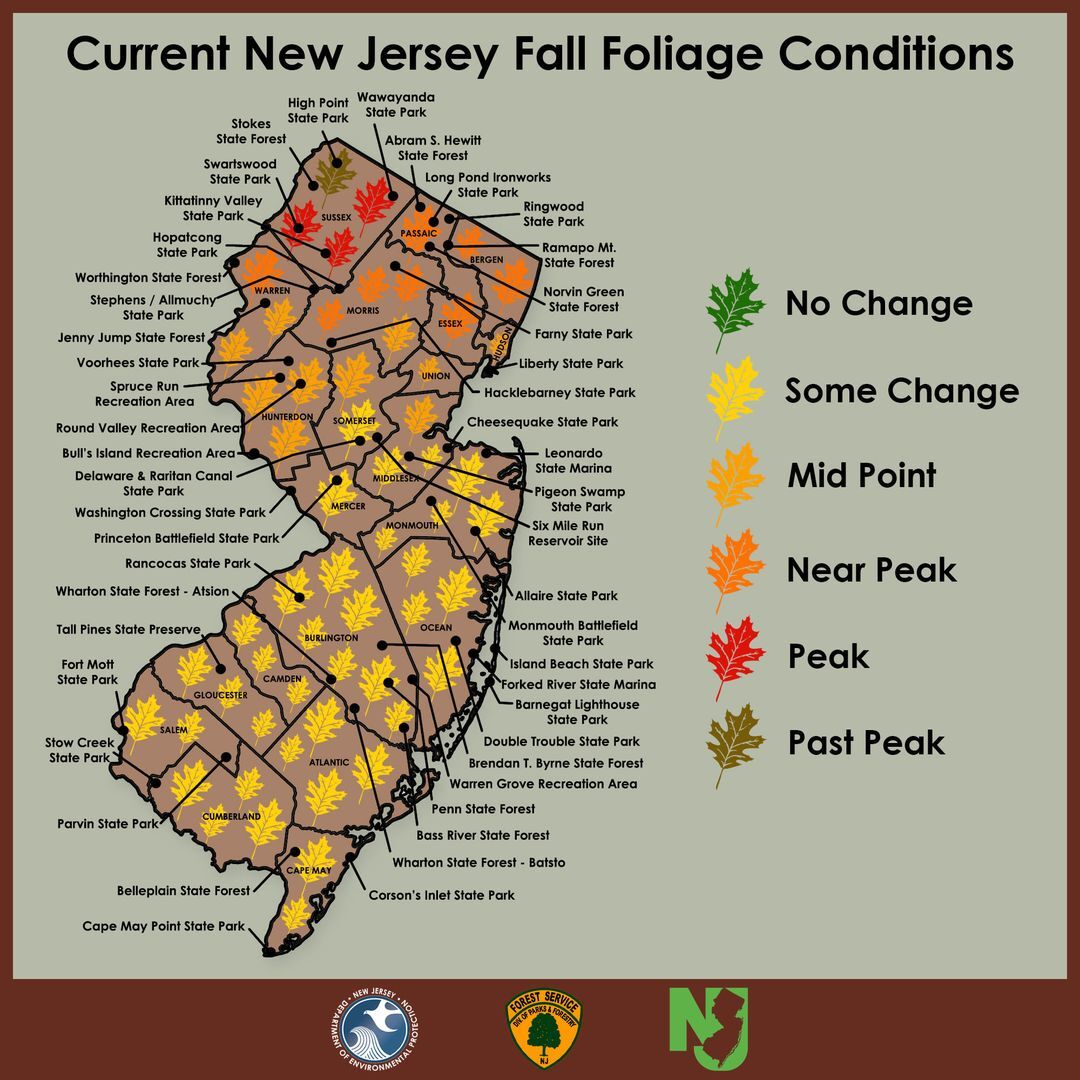 Fall Foliage Update - Oct. 22